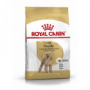 Royal Ad. Caniche 1,5 Kg  ROYAL CANIN