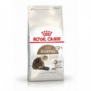 Royal Cat +12 400 Gr  ROYAL CANIN