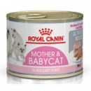 Royal Babycat Lata 195 Gr  ROYAL CANIN