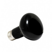 ICA 42 W Night Light Bulb