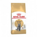 Royal Cat British Shorthair 2 Kg  ROYAL CANIN