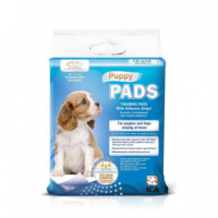 ICA Puppy Pads Adhesive Pads 16 Ud 40*60CM