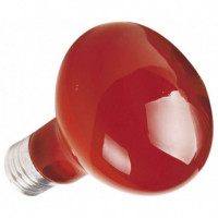 ICA Infrared Bulb 50 W