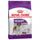 Royal Ad. Gigante 15 Kg ROYAL CANIN