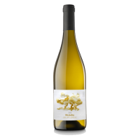 Mirabelles 2017 - 75CL  CELLER CREDO