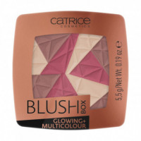 Catr. Blush Box Colorete Multicolor 030  CATRICE
