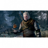 The Witcher 3: Wild Hunt Light Edition Switch  BANDAI NAMCO