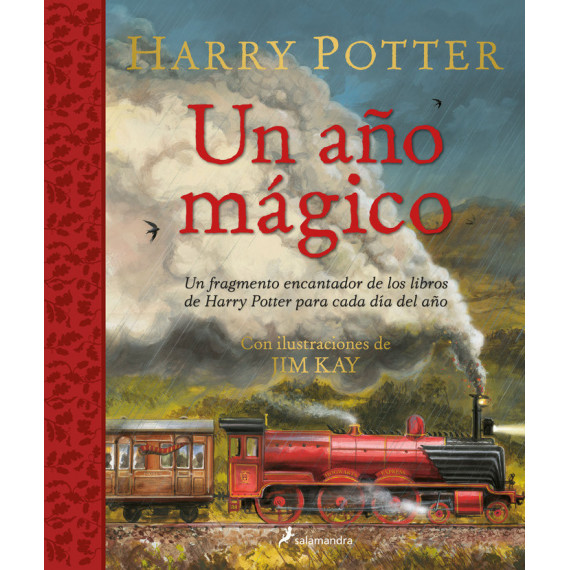 Harry Potter: un Aãâo Magico