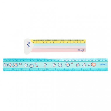 MR. WONDERFUL - Set of 2 Rulers to Help You with All Your Projects