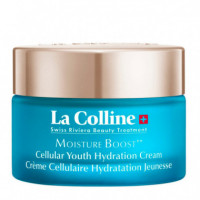 Cellular Youth Hydration Cream  LA COLLINE