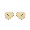 RAY-BAN Evolve RB3689/001-T2