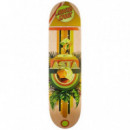 SKATE ASTA PARAGON POWERPLY 8.0