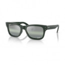 Gafas de Sol RAY-BAN Mr Burbank RB2283/6659-G4