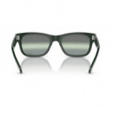 Gafas de Sol RAY-BAN Mr Burbank RB2283/6659-G4