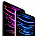 Apple Ipad Pro 12 M2 256GB 12,9“  APPLE