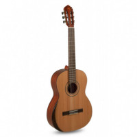 Manuel Rodriguez 501095 Guitarra Clasica Tradicãon Series T-65 4/4  GEWA