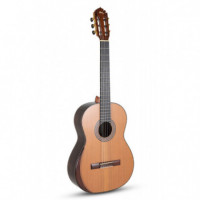 Manuel Rodriguez 501440 Guitarra Clasica Magistral Series F Ind. Palisande  GEWA