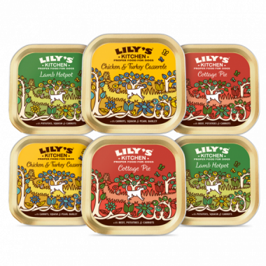 Mpack 6X150 Gr LILY'S KITCHEN Lilys Dog Classic Dinner