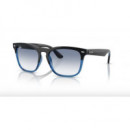 RAY-BAN Steve RB4487/6632-19