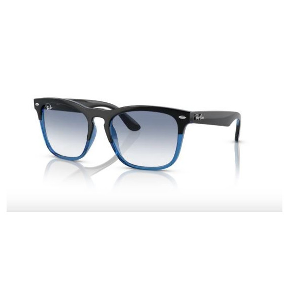 RAY-BAN Steve RB4487/6632-19