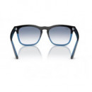 RAY-BAN Steve RB4487/6632-19