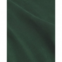 COLORFUL STANDARD Camisetas Hombre Camiseta Orgánica Verde Esmeralda
