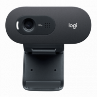 Webcam LOGITECH C505E