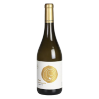 Turó de L'ermita - Mas Gomà 2019  MÀS GOMÁ