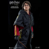 Figura Harry Potter y el Cáliz de Fuego Torneo de los Tres Magos  STAR ACE TOYS