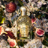 Aqua Allegoria Forte Nerolia Vetiver  GUERLAIN