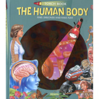 The Human Body (torch Book)