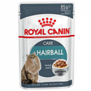 Royal Cat Hairball C. Pouch Salsa 85 Gr  ROYAL CANIN