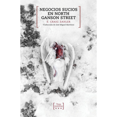 NEGOCIOS SUCIOS EN NORTH GANSON STEET