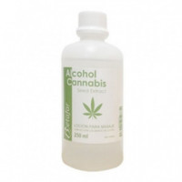 Alcohol cannabis 250 ml, 10 Unidades