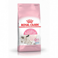 Royal Babycat 4 Kg  ROYAL CANIN