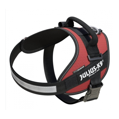 JULIUS K9 Idc Mini Powerharness Purpura