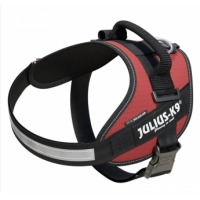 JULIUS K9 Idc 2 Powerharness Purpura