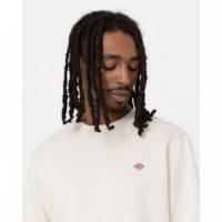 DICKIES - Oakport - Sweater