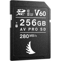 ANGELBIRD Tarjeta Av Pro Sd MK2 256GB V60