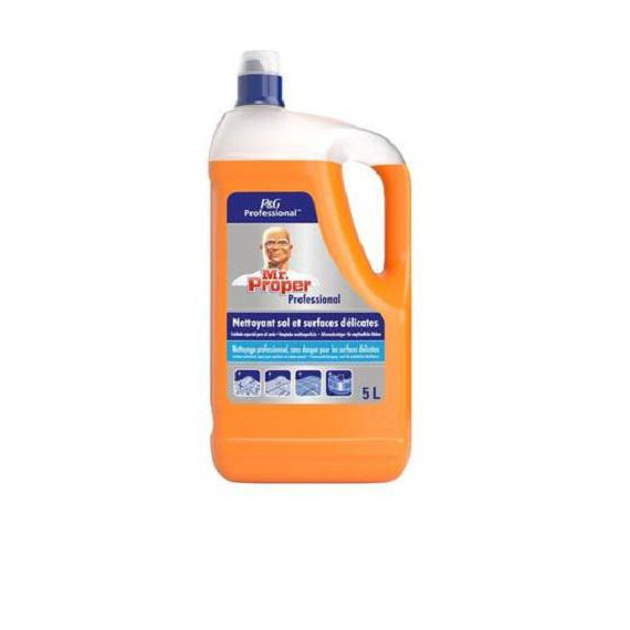 Limpiador pH neutro suelos y superficies P&G PROFESSIONAL 5 l