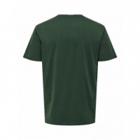 Camisetas Hombre Camiseta ONLY&SONS Ole Gear Cilantro