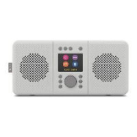 Radio Portátil PURE Elan Connect+ Bt Gris (248483)