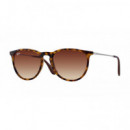 Gafas de Sol Ray-ban RB4171 Erika  LUXOTTICA