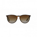 Gafas de Sol Ray-ban RB4171 Erika  LUXOTTICA