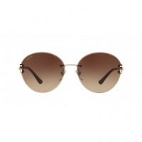 Gafas de Sol Bvlgari BV6091B  LUXOTTICA