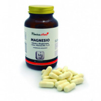 Magnesio Pv (90 Cápsulas)  PAMIES VITAE