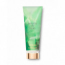 Beneath The Palms Body Lotion  VICTORIA'S SECRET