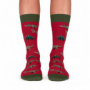 Calcetines Jurassic Dinos  JIMMY LION