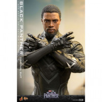 Figura Black Panther  (original Suit)  HOT TOYS
