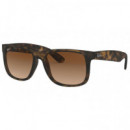 Gafas RAYBAN RB4165 710-13/55